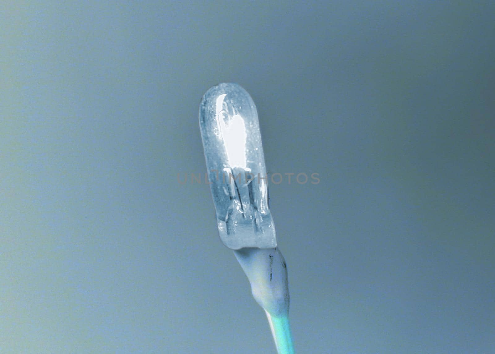 Glowing grain of wheat led lamp bulb detail close-up image on grey background