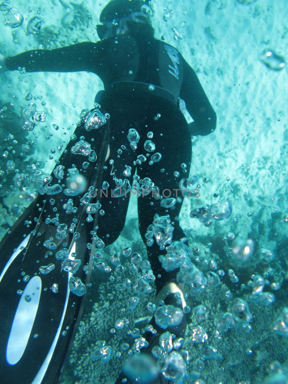 A snorkeler diving under the water exhaling air has he descends