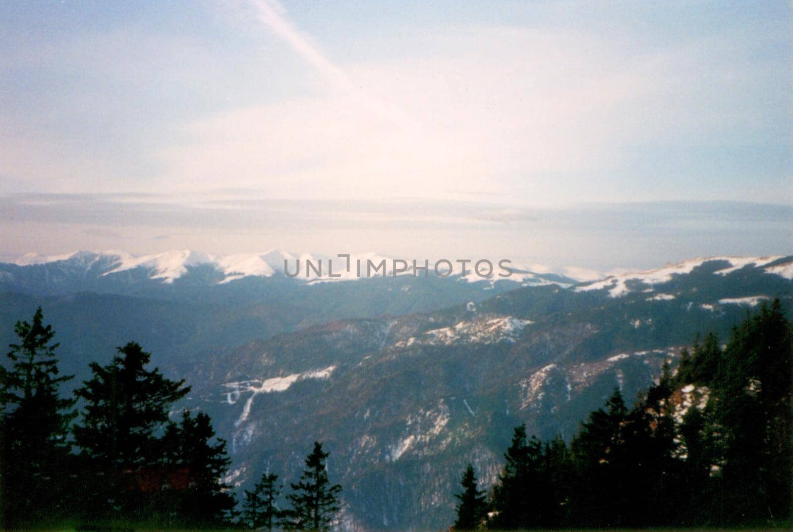 Bright sun flare over snowy mountains covered in evergreen forest plantations in a panoramic landscape