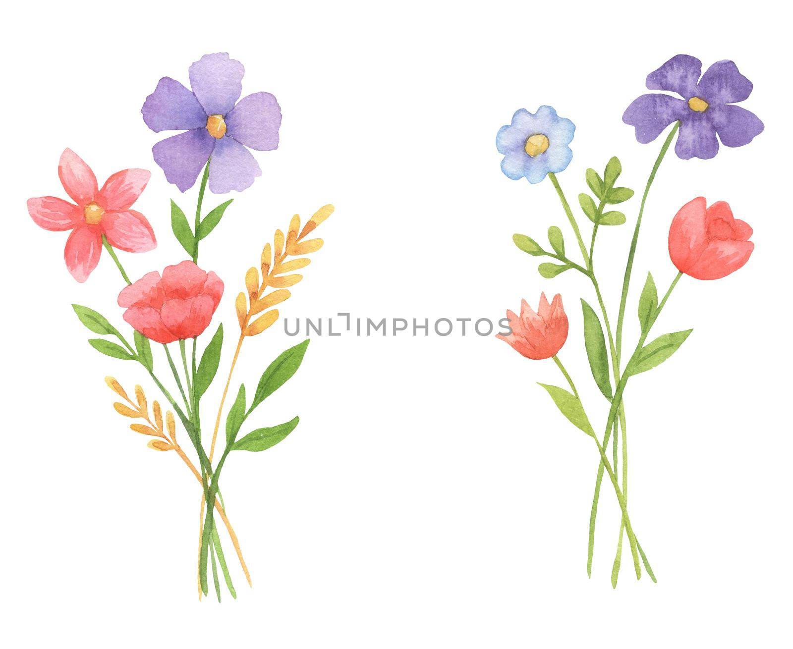Watercolor illustration bouquet of flowers. Set of hand drawn wildflowers by ElenaPlatova