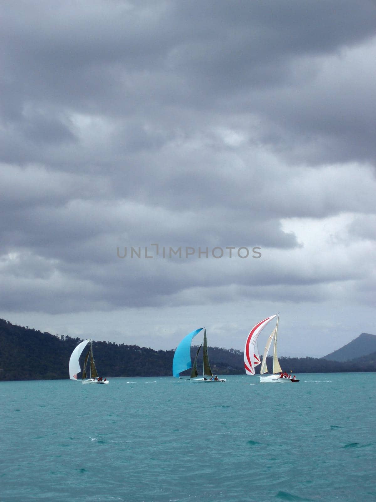 three sailing yachts flying spinnaker sails during a yacht race