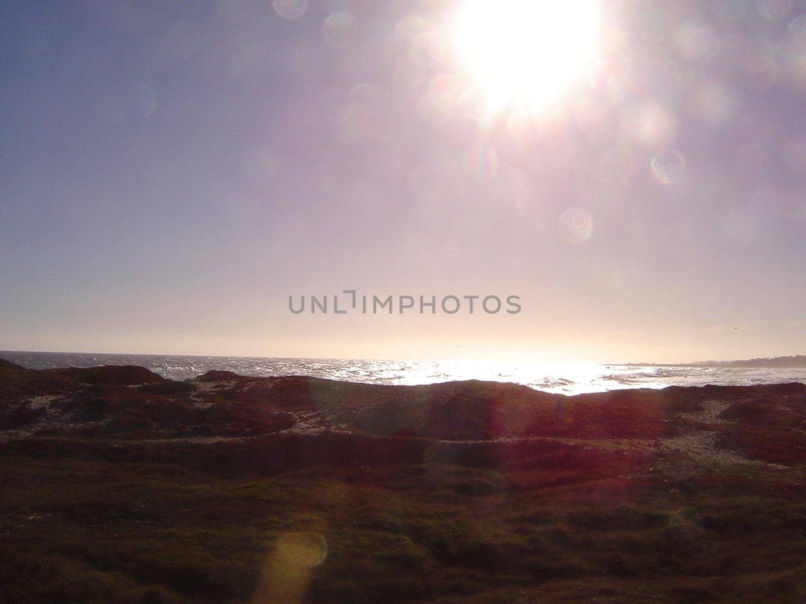 sunny scene on the california coast
