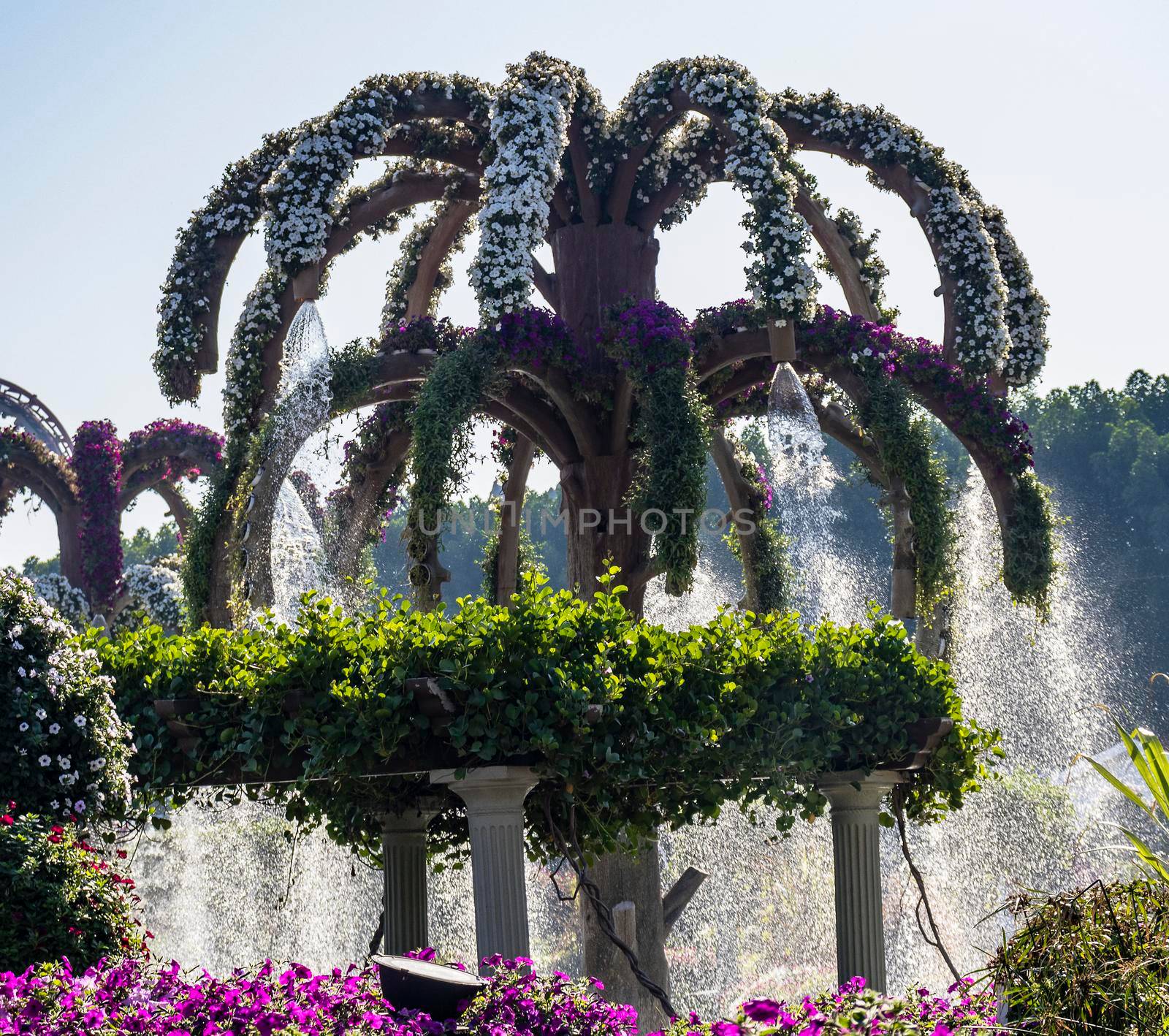 Dubai, UAE - 03.06.2020 Flower and landscaping installations in Dubai miracle garden.