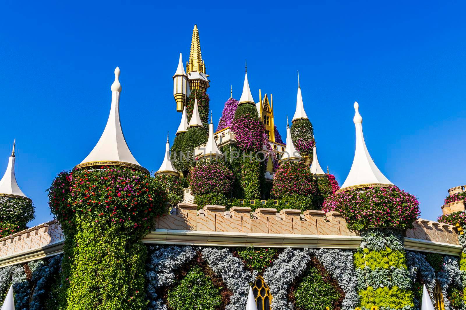 Dubai, UAE - 03.06.2020 Flower and landscaping installations in Dubai miracle garden.