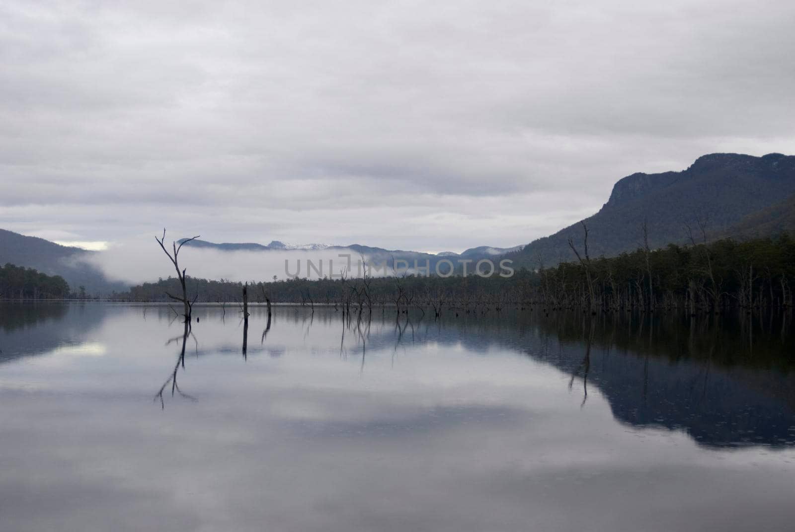 reflected landscape in the surface of lake rowallan, tasmania state forest