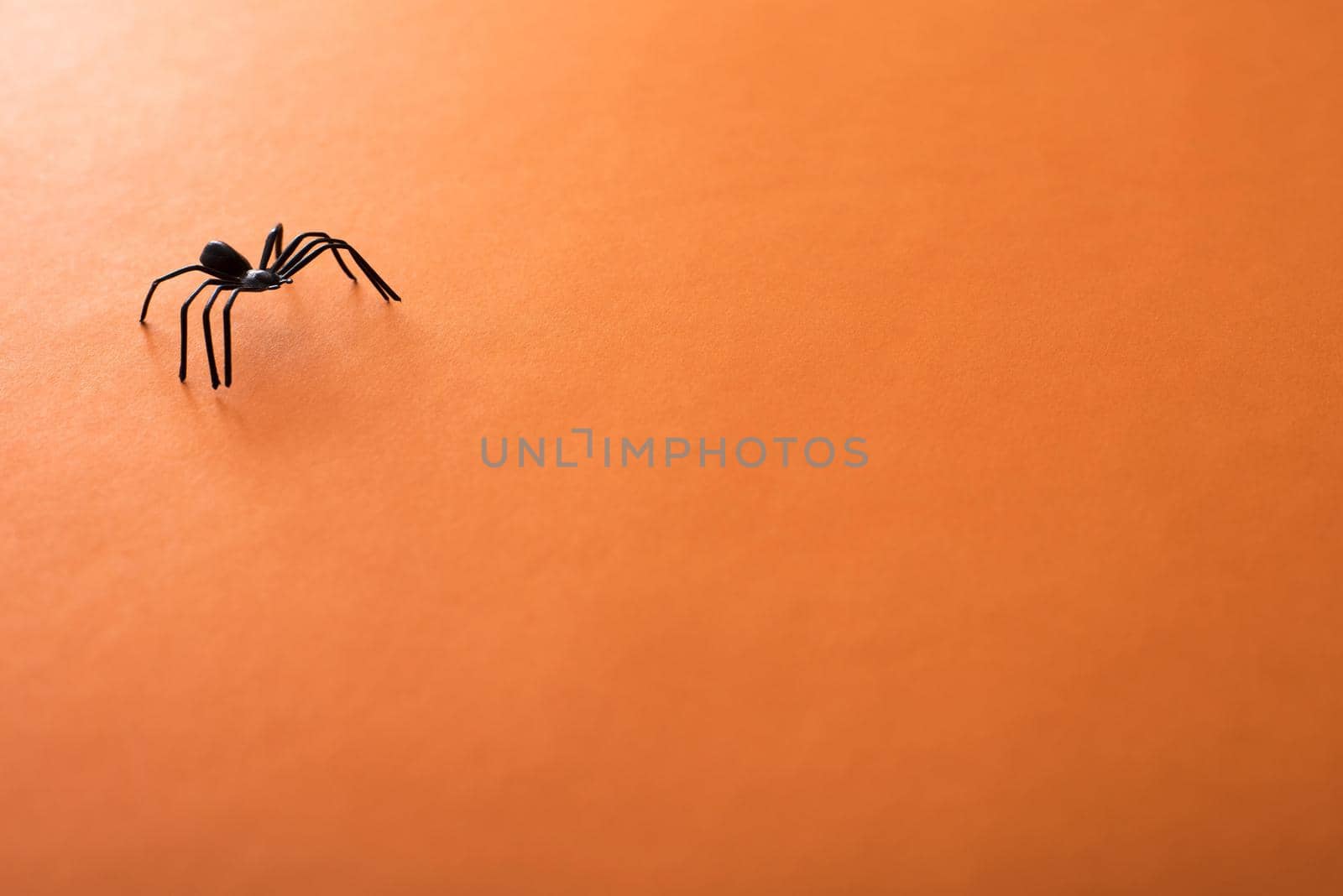 Orange Halloween background with a creepy scary black spider in the top right corner and plenty of copy space for your holiday message