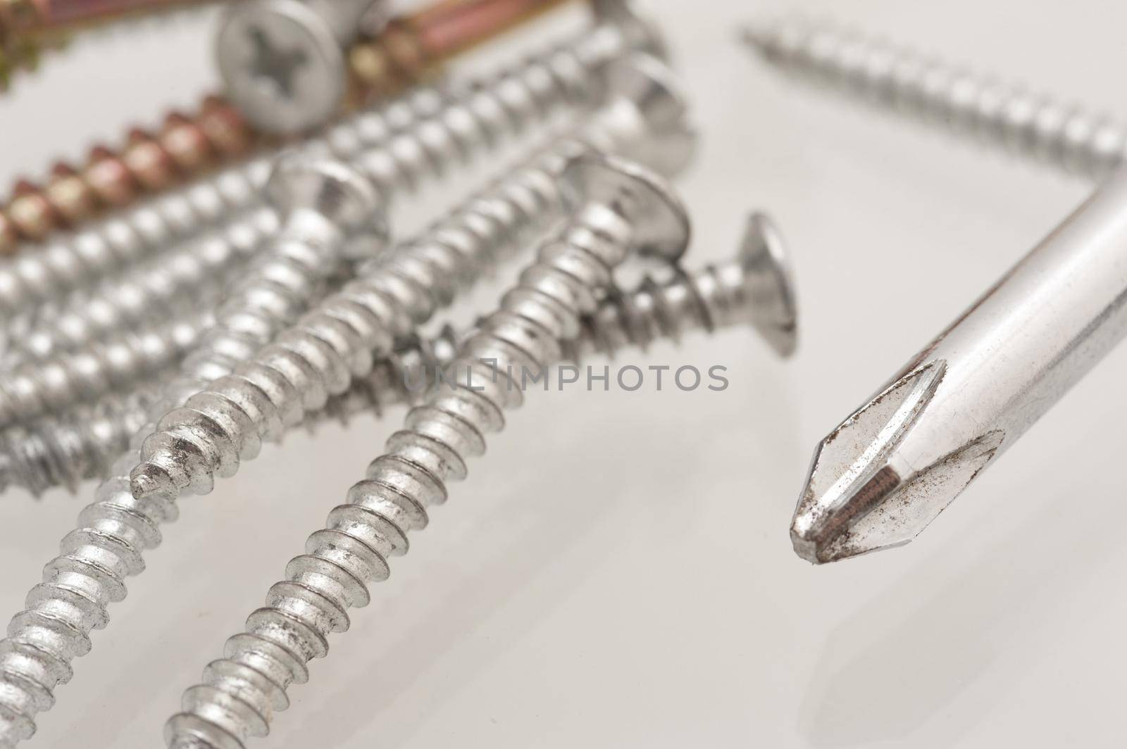 Scattered pile of threaded metal screws with a Philips screwdriver in a conceptual image of DIY and renovation