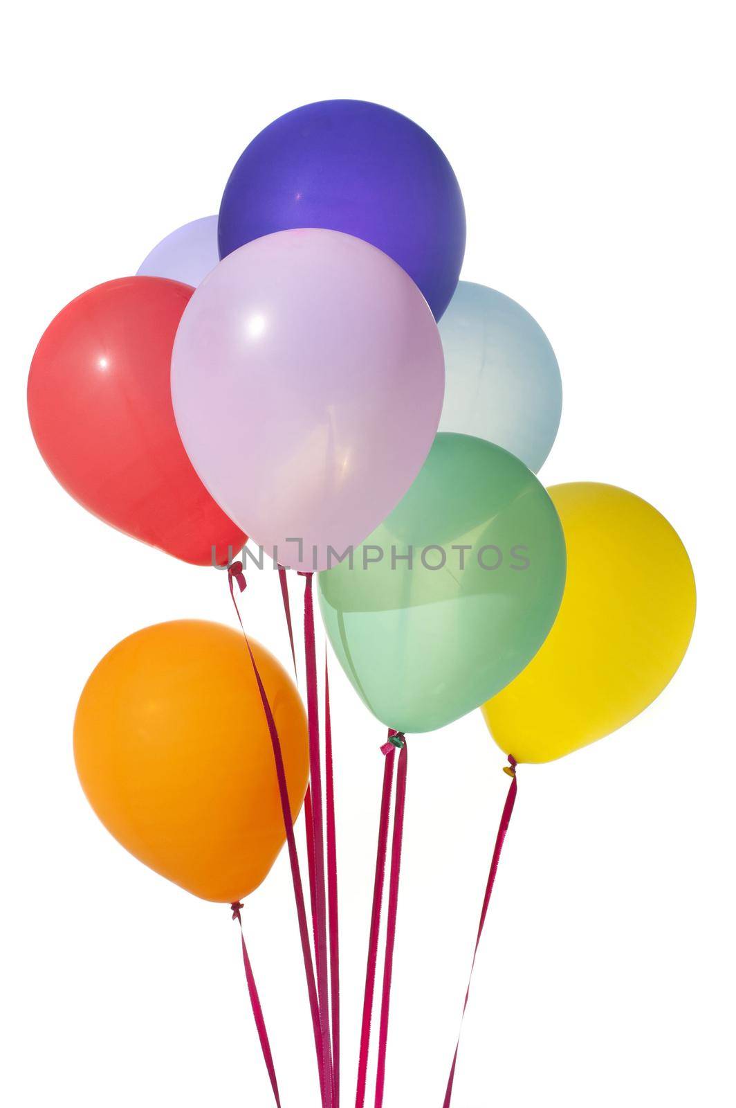 Floating bunch of colorful party balloons tied with festive red ribbons conceptual of a birthday, holiday or carnival event, isolated on white