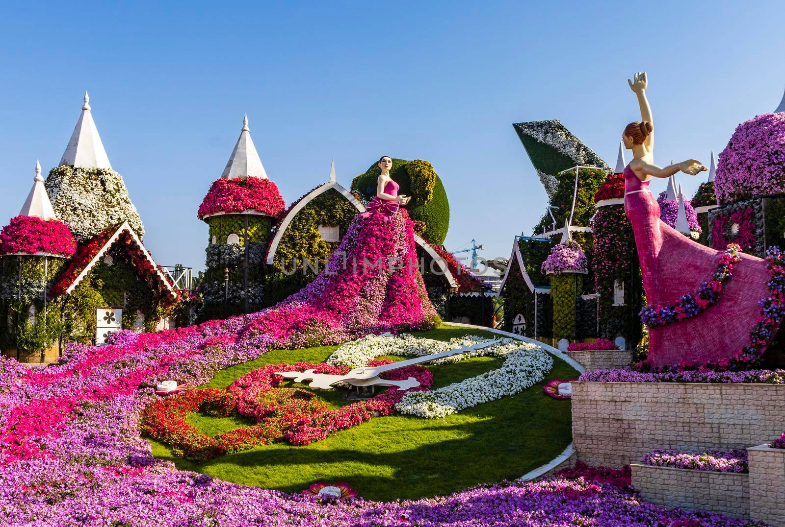 Dubai, UAE - 03.06.2020 Flower and landscaping installations in Dubai miracle garden.