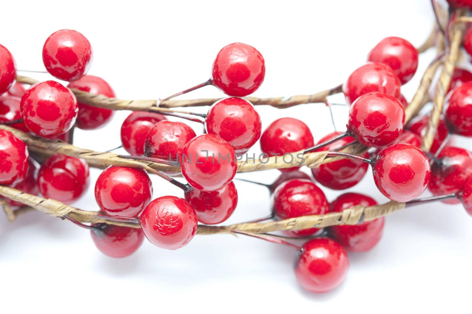 Isolated spray of festive red Christmas berries in a close up view on white for an elegant simple card or invitation