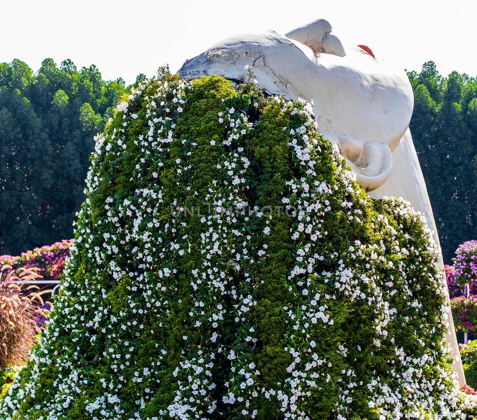 Dubai, UAE - 03.06.2020 Flower and landscaping installations in Dubai miracle garden.