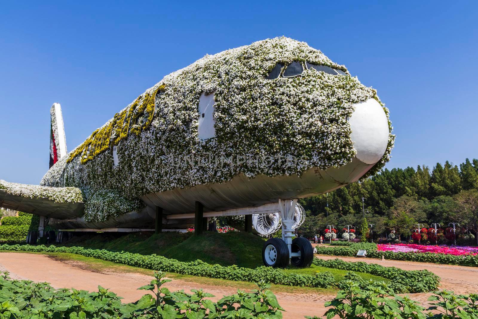 Dubai, UAE - 03.06.2020 Flower and landscaping installations in Dubai miracle garden.