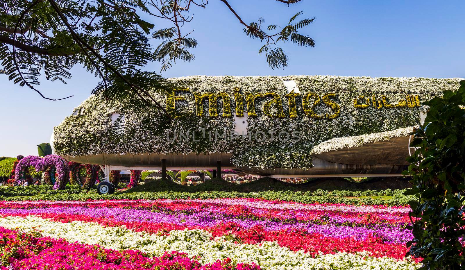Dubai, UAE - 03.06.2020 Flower and landscaping installations in Dubai miracle garden.