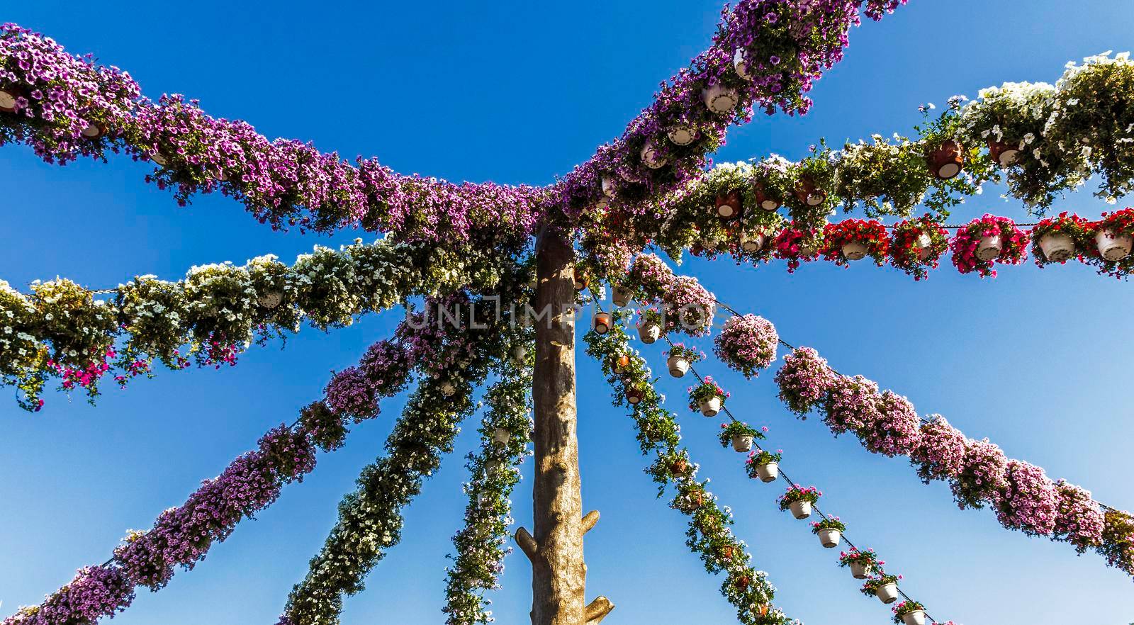 Dubai, UAE - 03.06.2020 Flower and landscaping installations in Dubai miracle garden.