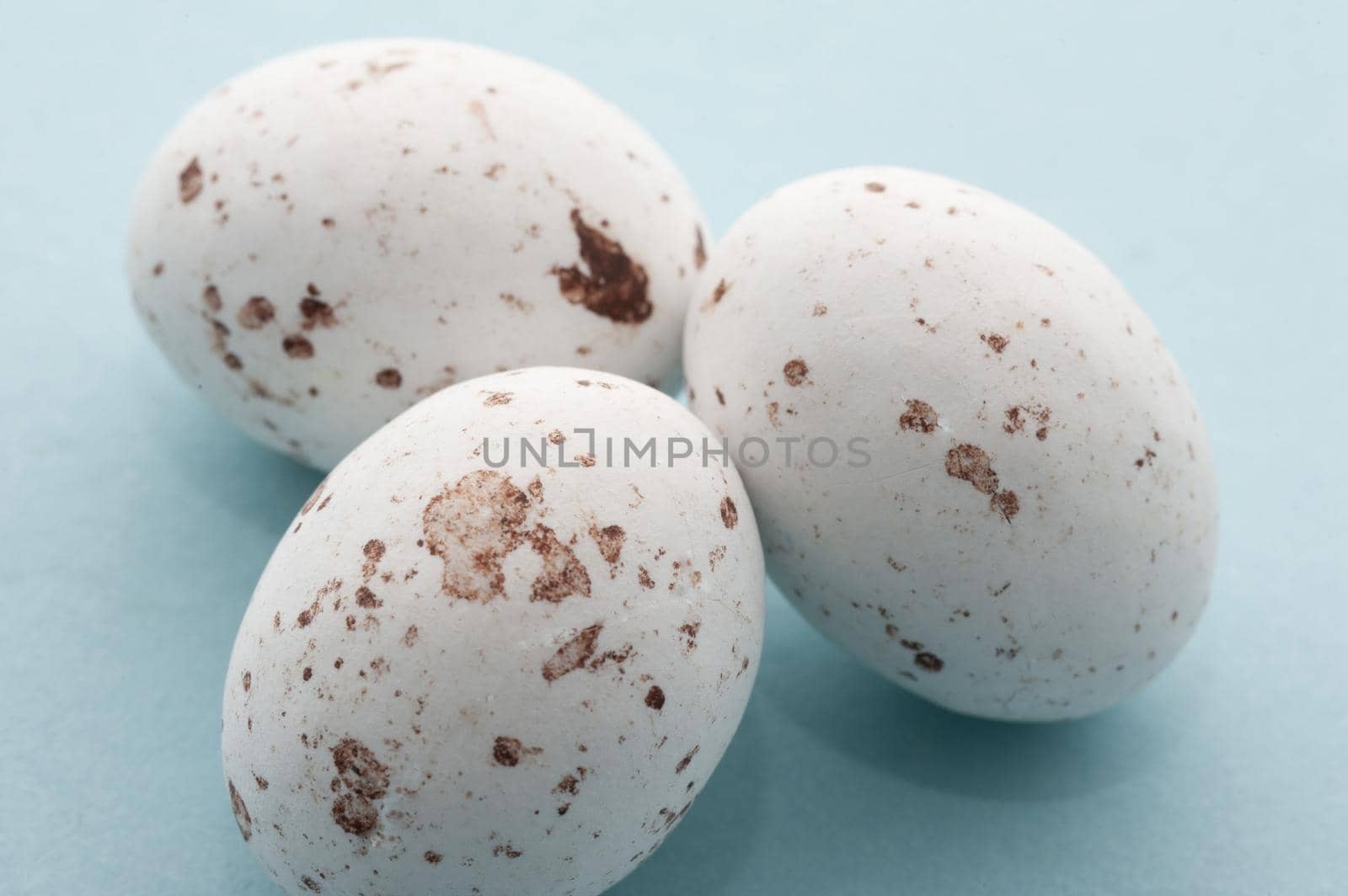 White speckled candy Easter Eggs, closeup view on blue
