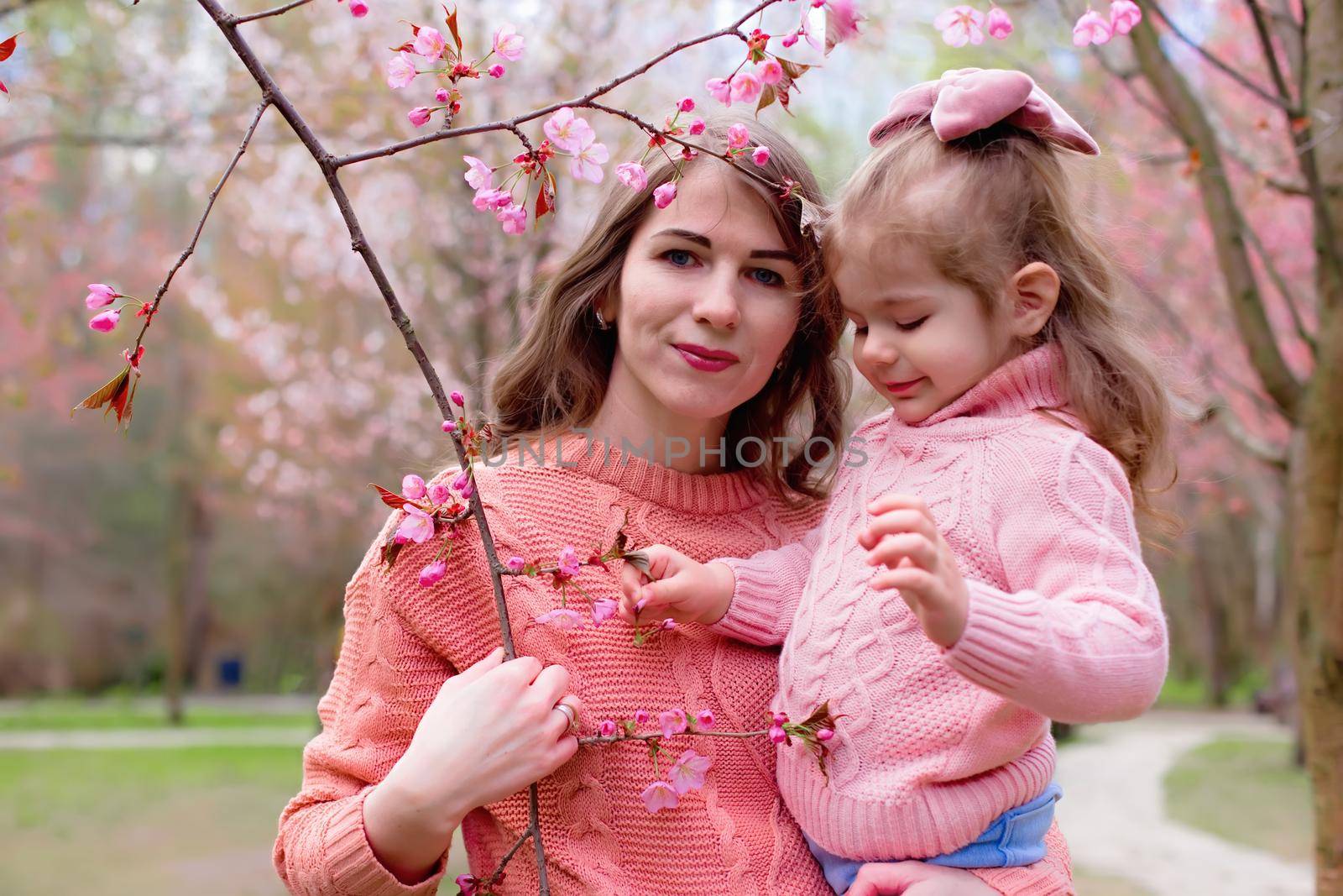 Portrait of mother and daughter in the park with blooming pink sakura. Close up