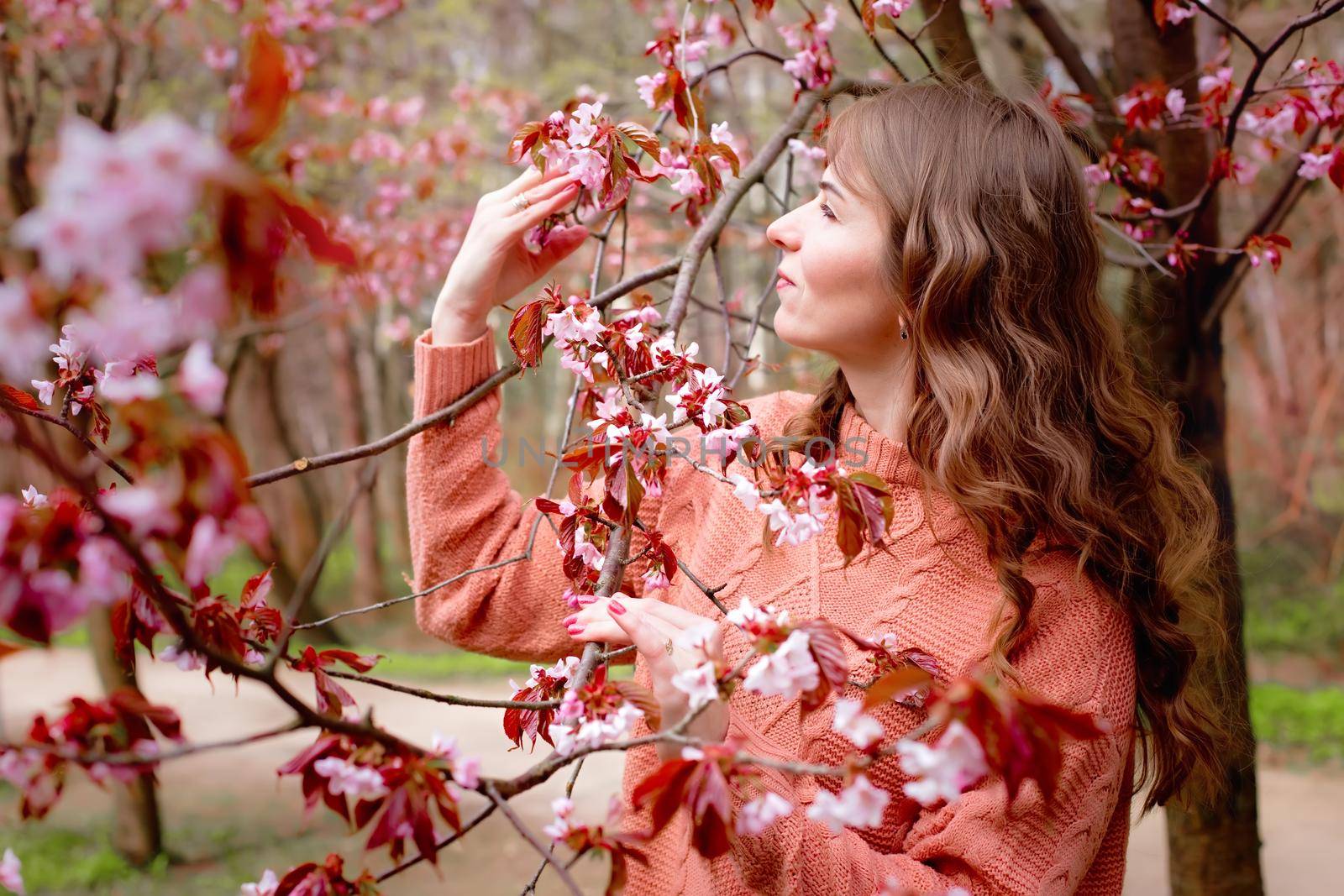 Beautiful woman standing under pink blossom Sakura. Copy space