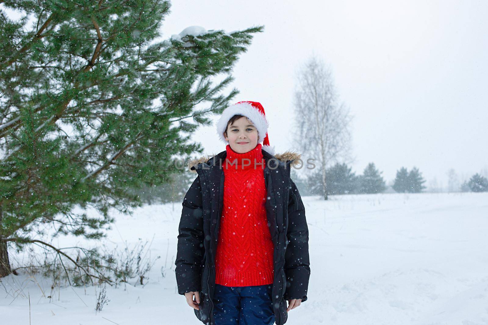A cute teenager in a dark jacket and a red sweater, a red santa claus hat stands in the winter in the park, near the pines in the snow. copy space