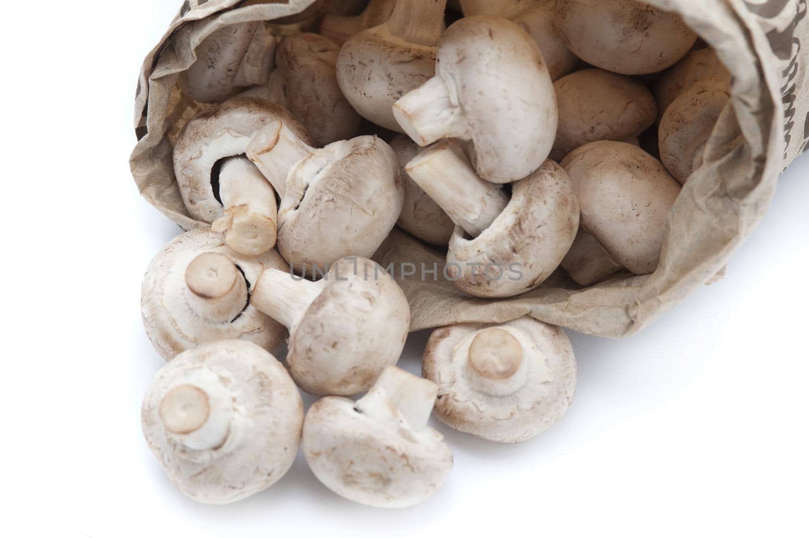 Close up Healthy Fresh Uncooked Mushrooms from a Brown Paper Bag Isolated on White Background.