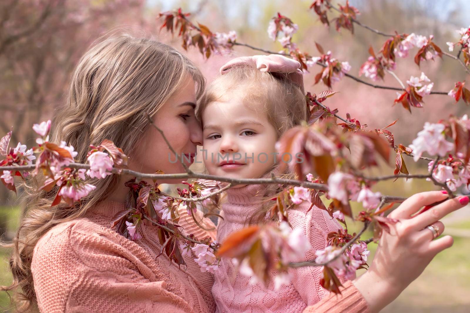 beautiful mother hugging of little daughter in the park with blooming pink sakura. Close up