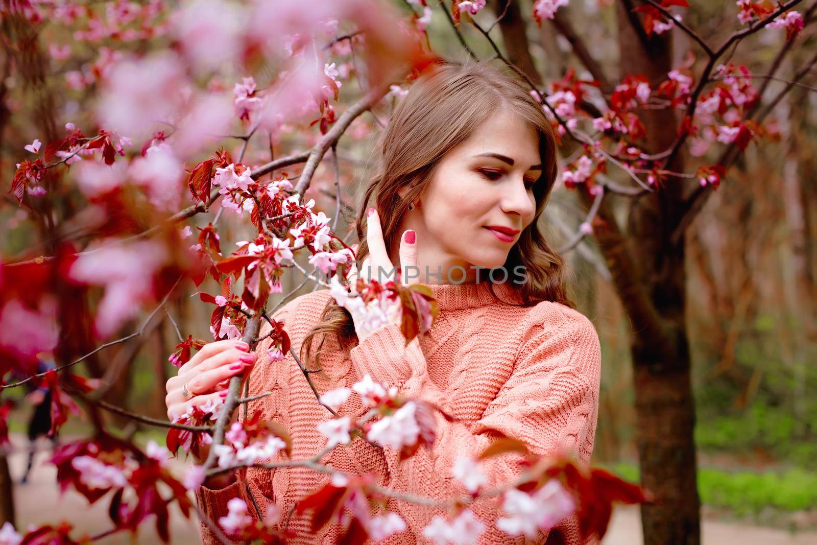 Beautiful woman in pink clothes standing under pink blossom Sakura. Copy space