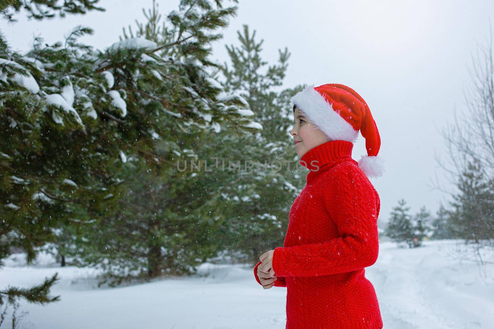 teenager in a red sweater and a red santa claus hat stands in the winter in the park, near pine trees in the snow. Copy space