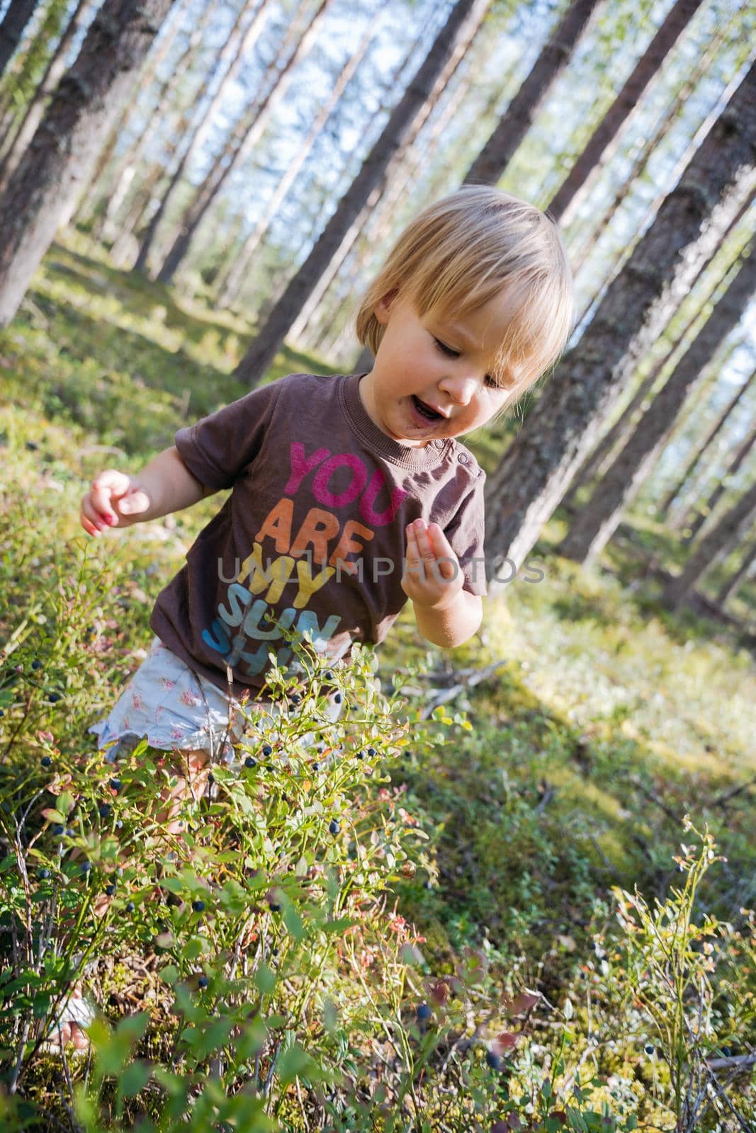 Blond Baby girl collecting berries in the forest and eating them. High quality photo