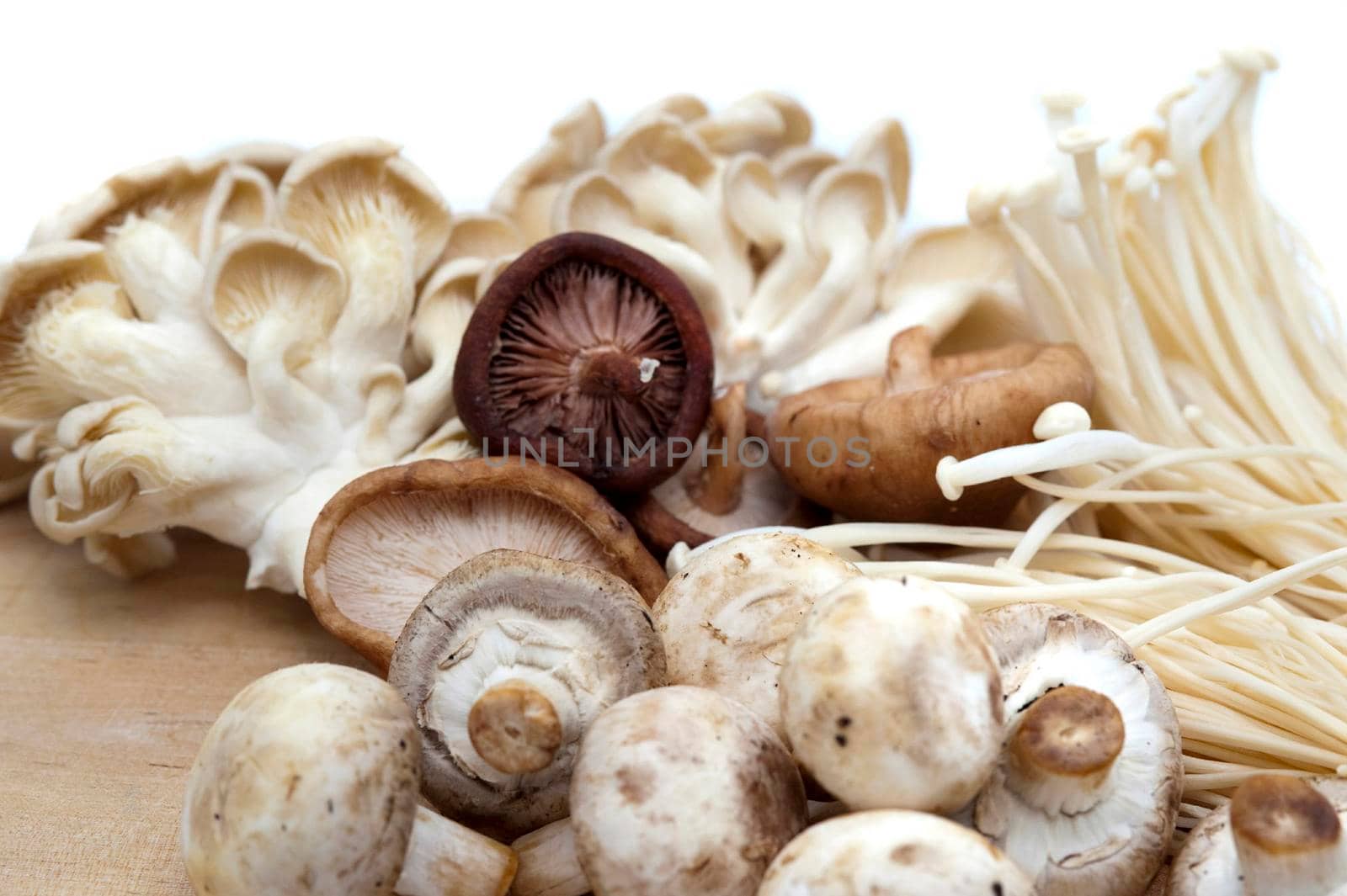 Assortment of edible fresh mushrooms for use as ingredients in gourmet and vegetarian cooking including shitake, oyster and cultivated agaric mushrooms
