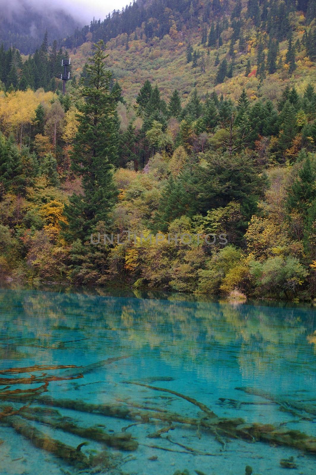 Cyan blue mountain lake surrounded by forests with mountain peaks and mist in the background in a stunning natural background