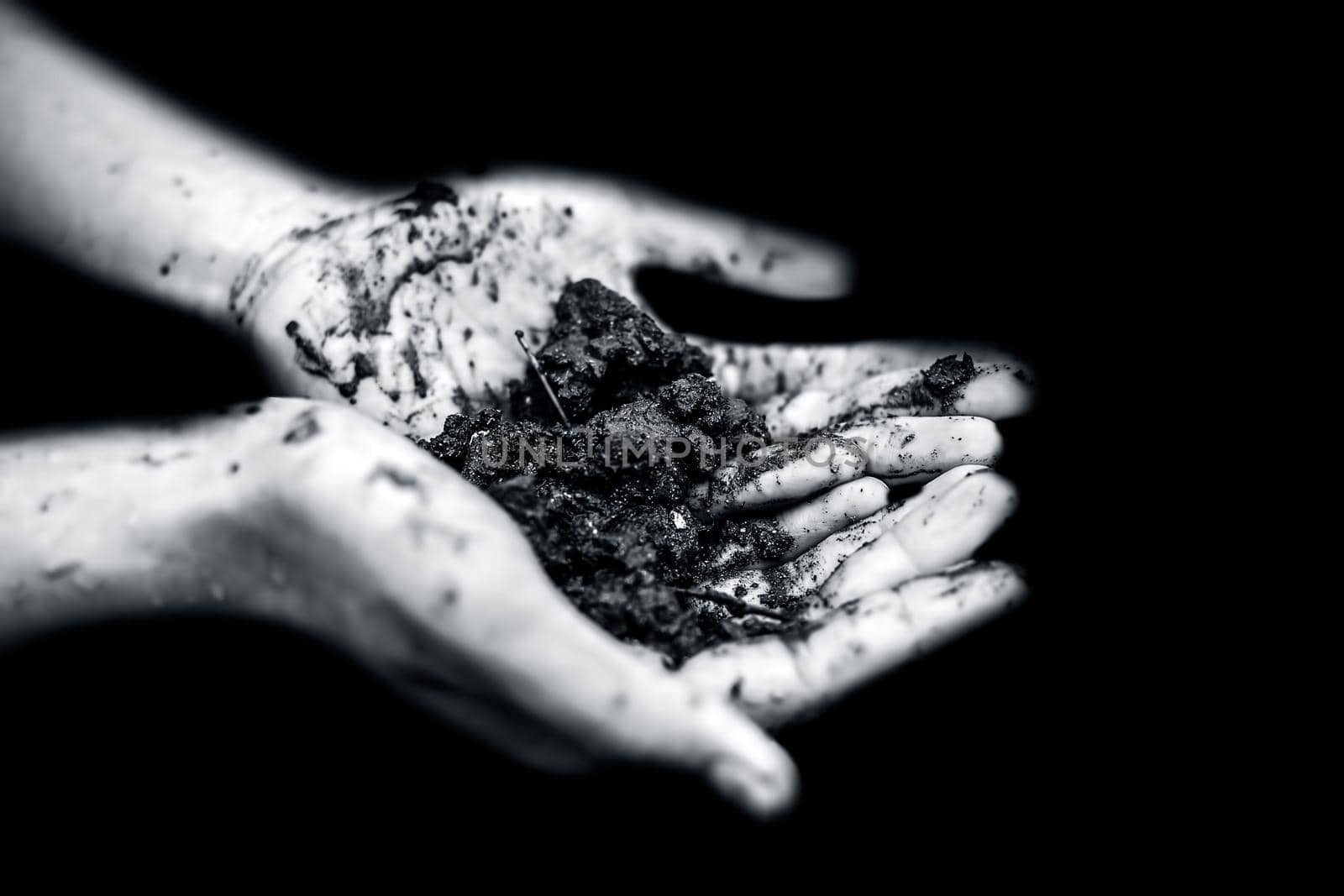 Close up of hands of a farmer holding new fresh soil after rain in his hands and showing to the camera.