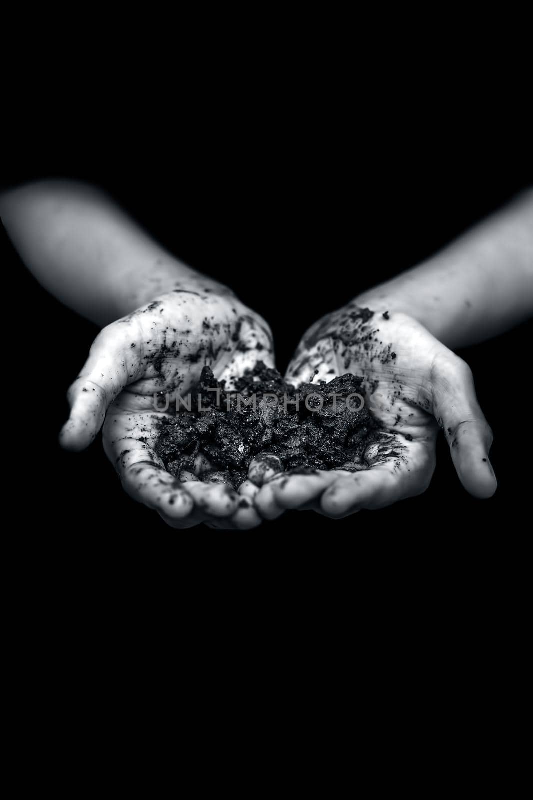 Close up of hands of a farmer holding new fresh soil after rain in his hands and showing to the camera. by mirzamlk