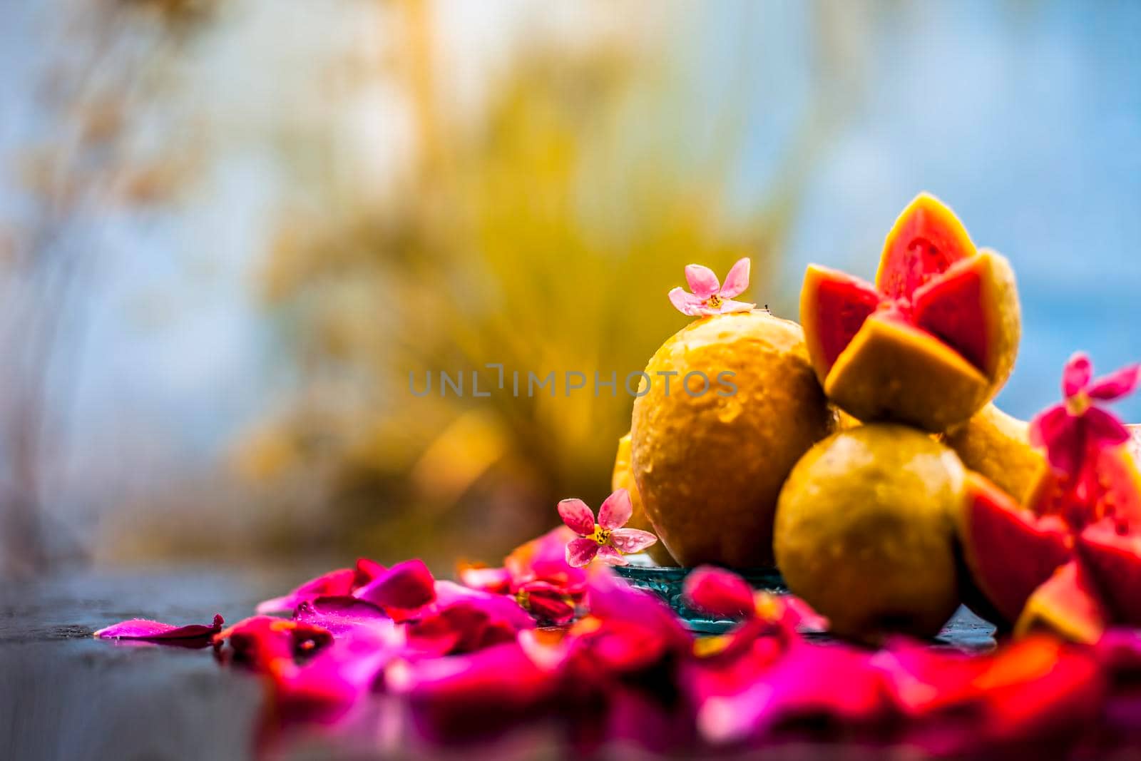 Raw organic guava or amrut or amarood in Hindi language on black shinny surface in a blue-colored plate with some rose petals.