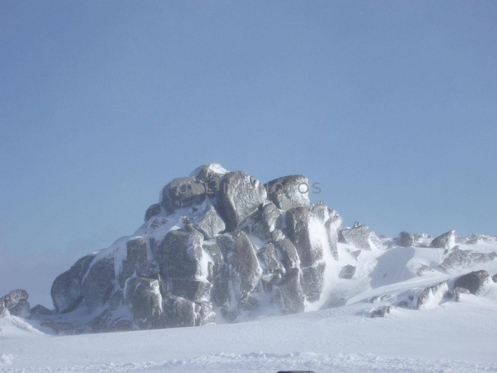 bad weather: snow blowing in the wind