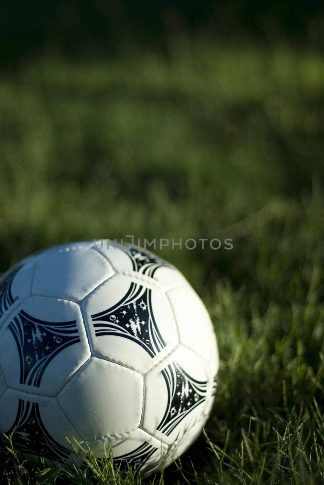 a white leather football sat on a grass background