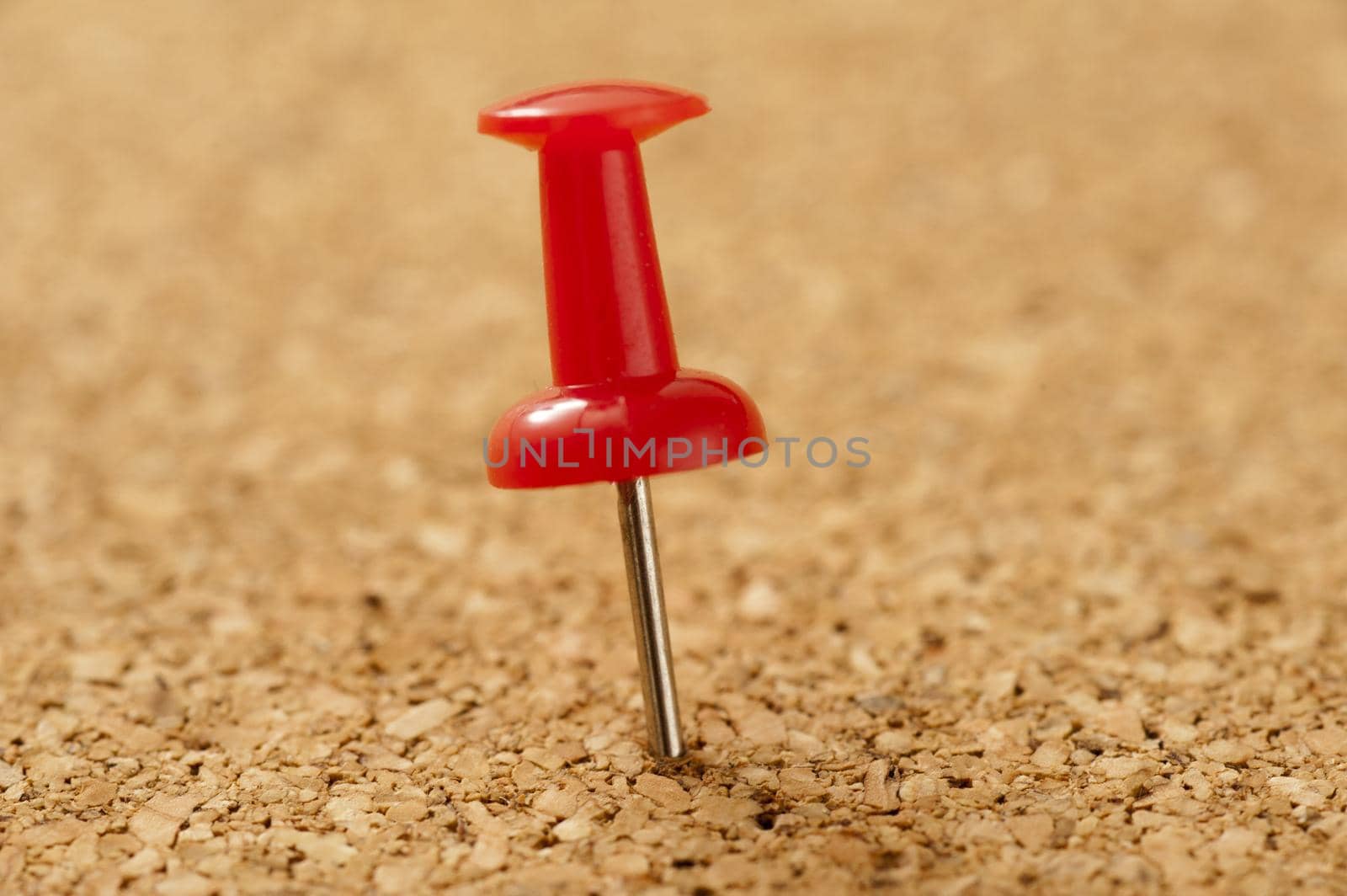 Close up Single Red Sharp Marker Pin Pinned on a Brown Textured Cork Board