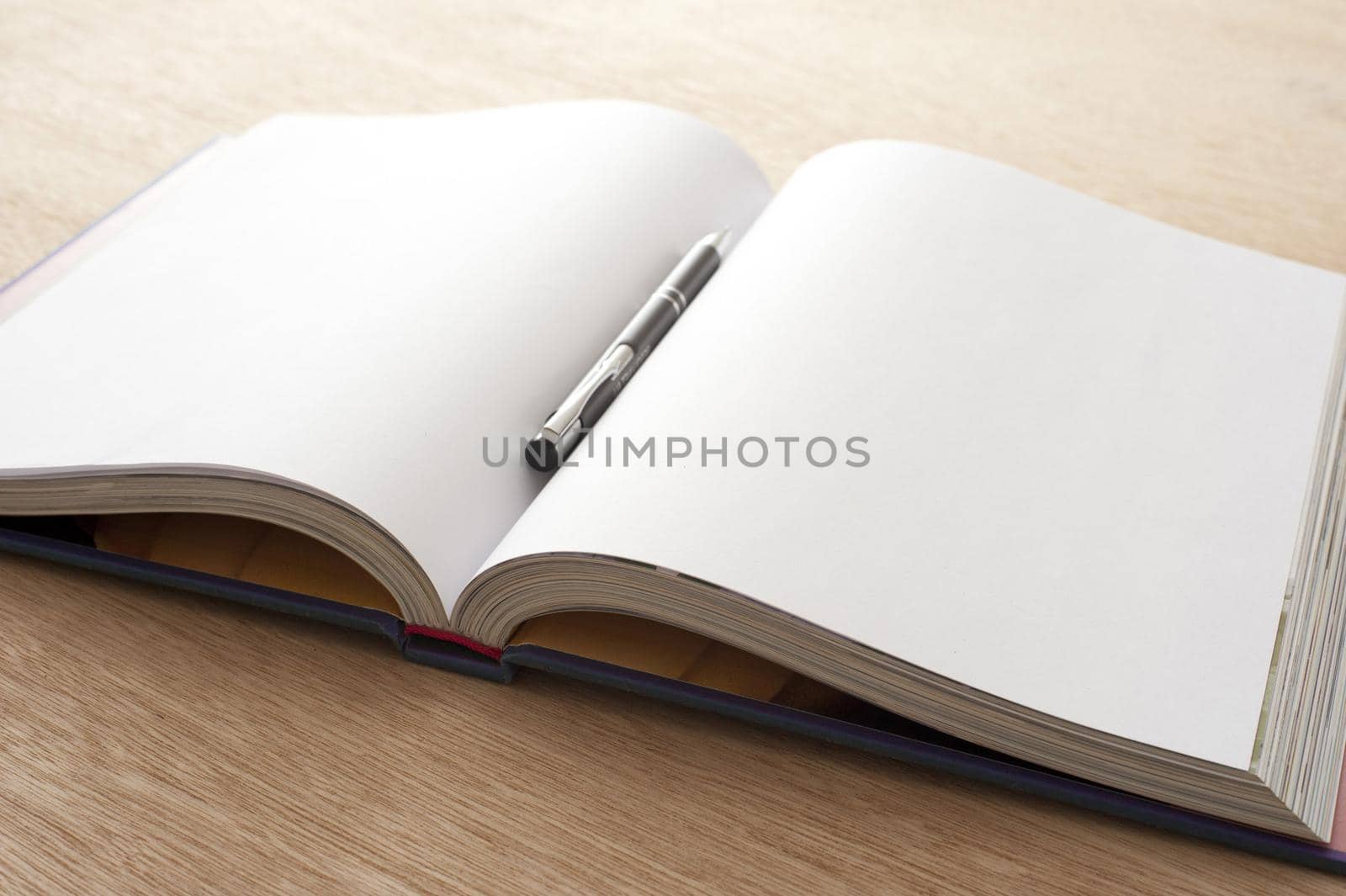 Starting a fresh page concept with open book by sanisra