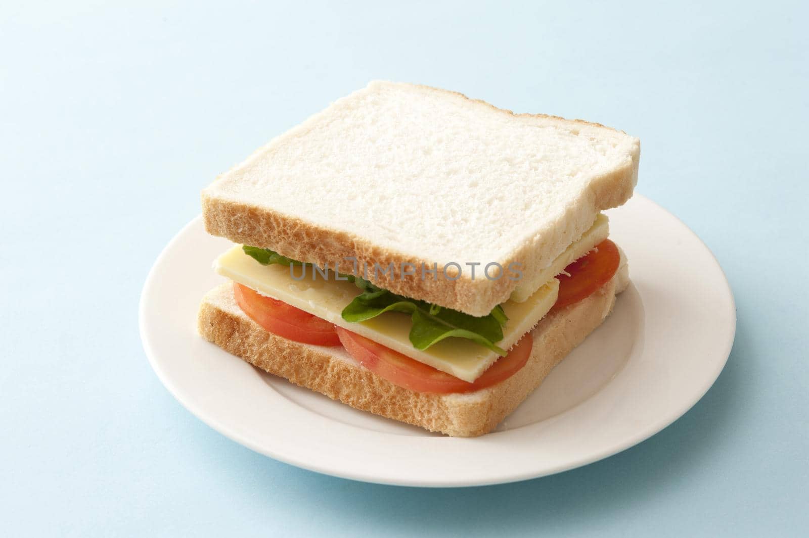 Tasty cheese and tomato sandwich snack with lettuce on two slices of fresh white bread served on a plate