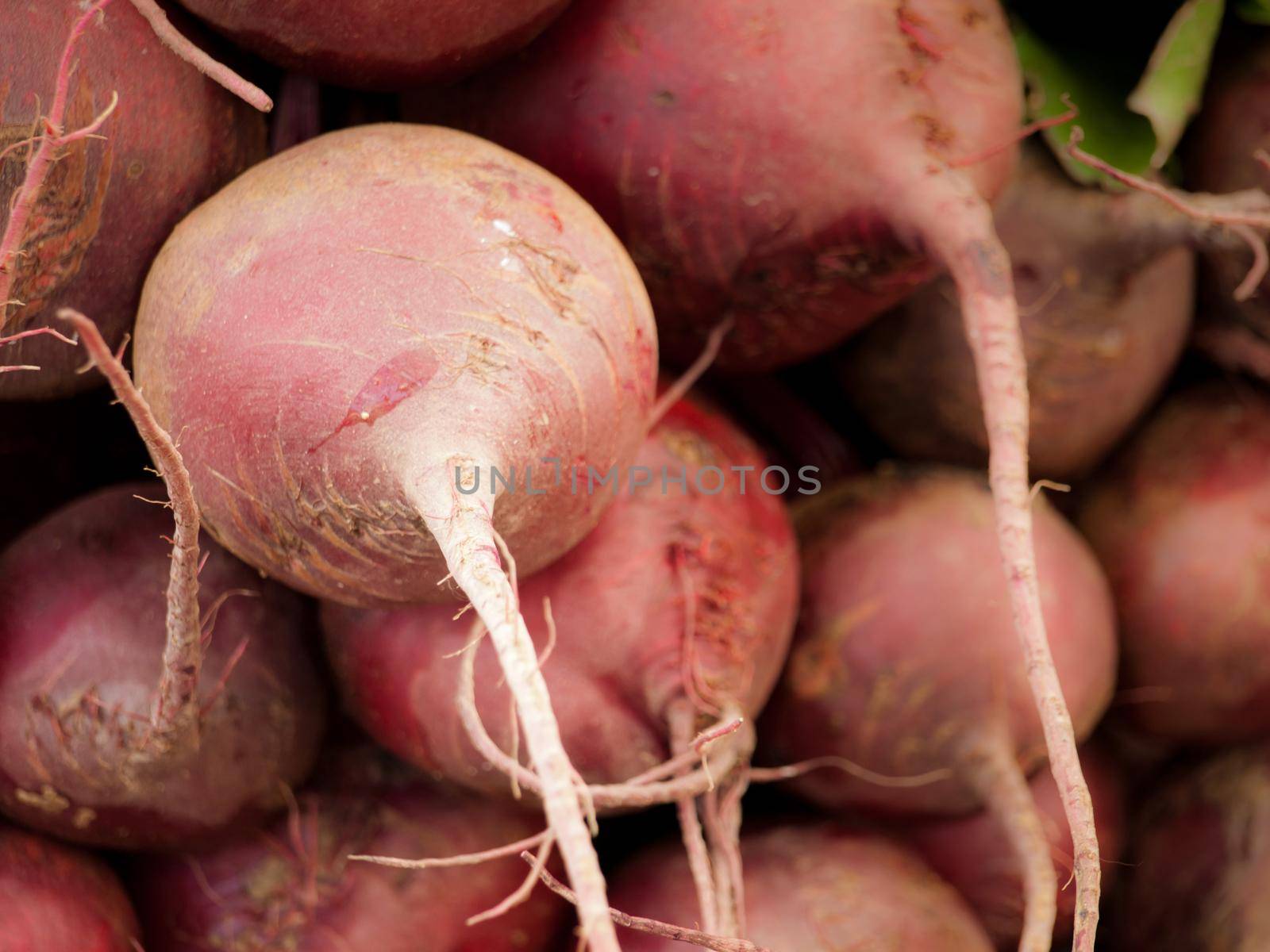 Red Beets by arinahabich