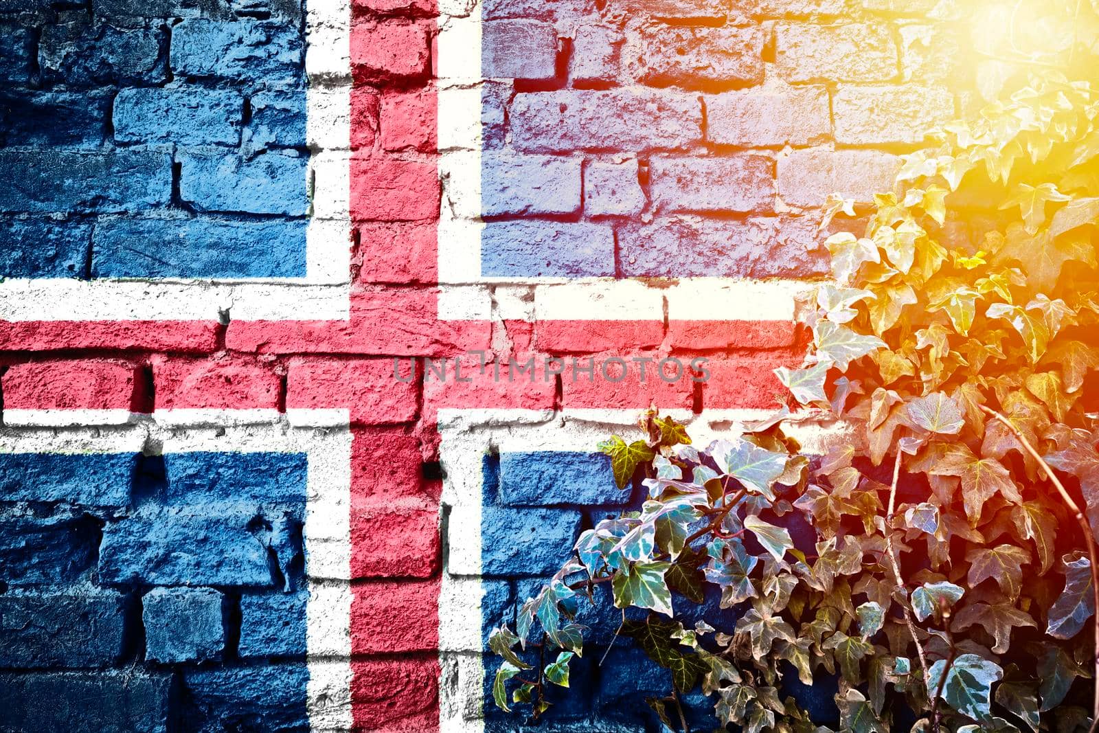 Iceland grunge flag on brick wall with ivy plant sun haze view, country symbol concept 

