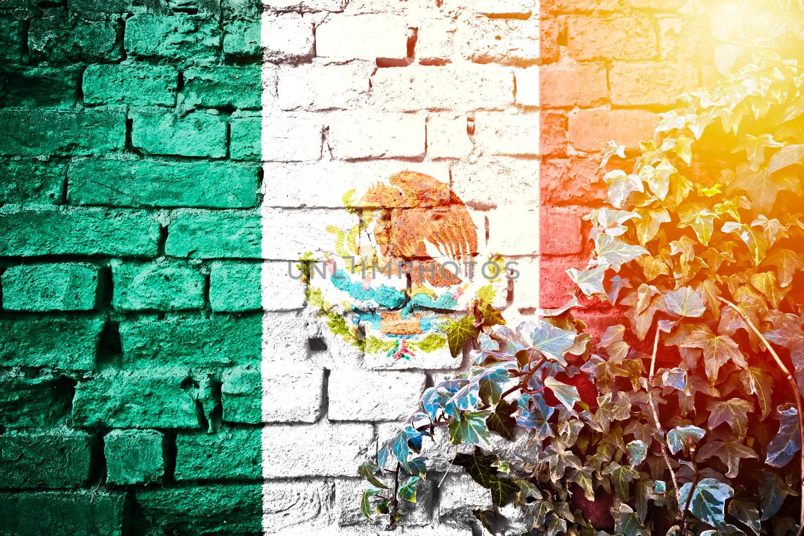 Mexico grunge flag on brick wall with ivy plant sun haze view, country symbol concept 

