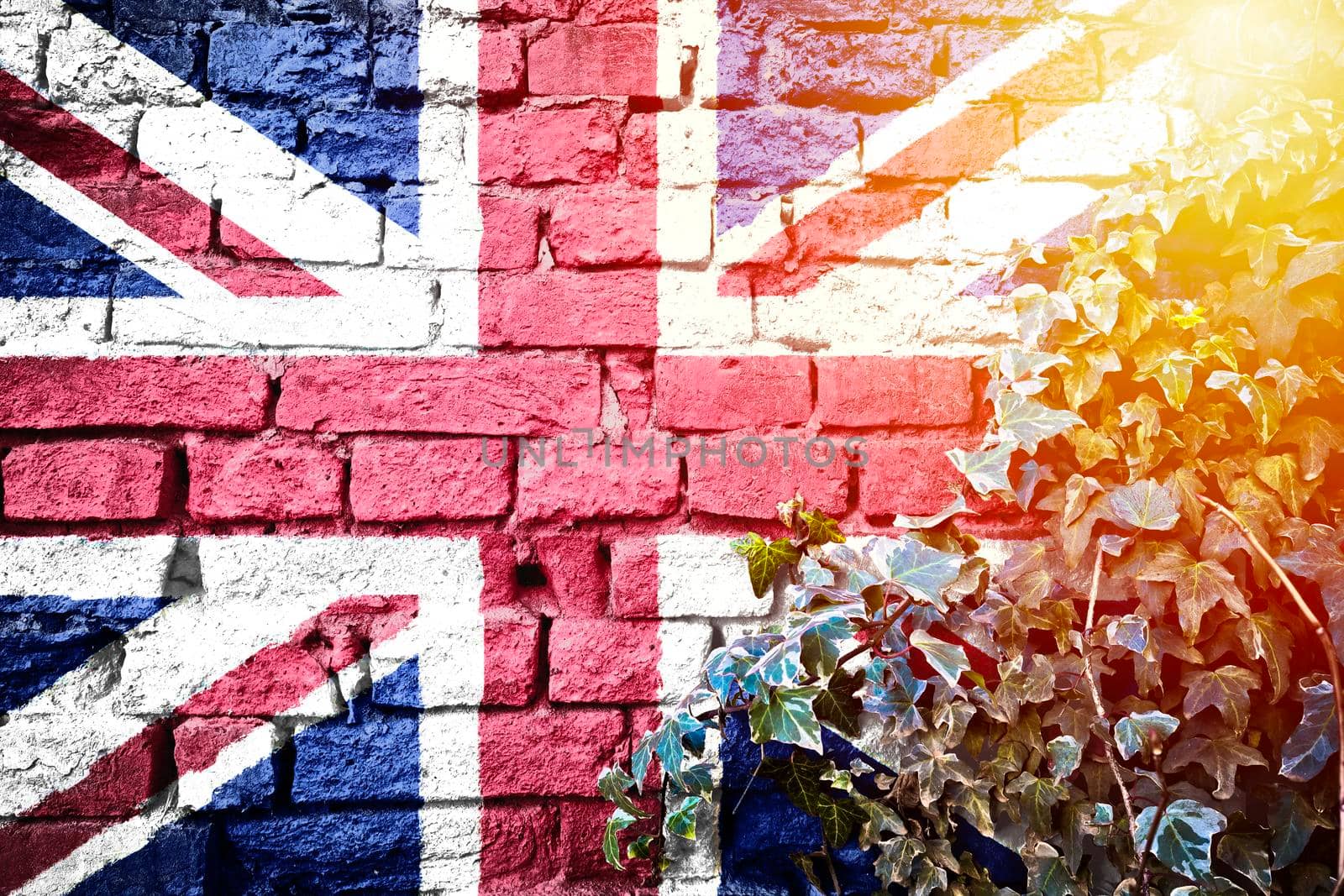 UK grunge flag on brick wall with ivy plant sun haze view by xbrchx