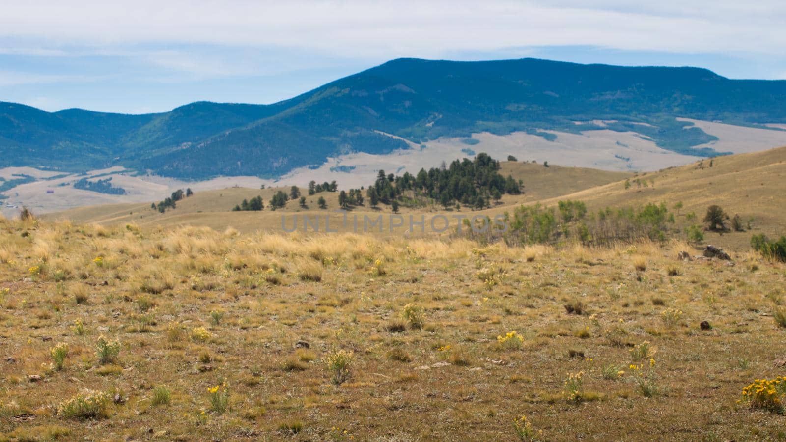 Colorado's hilly landscape in early autumn.