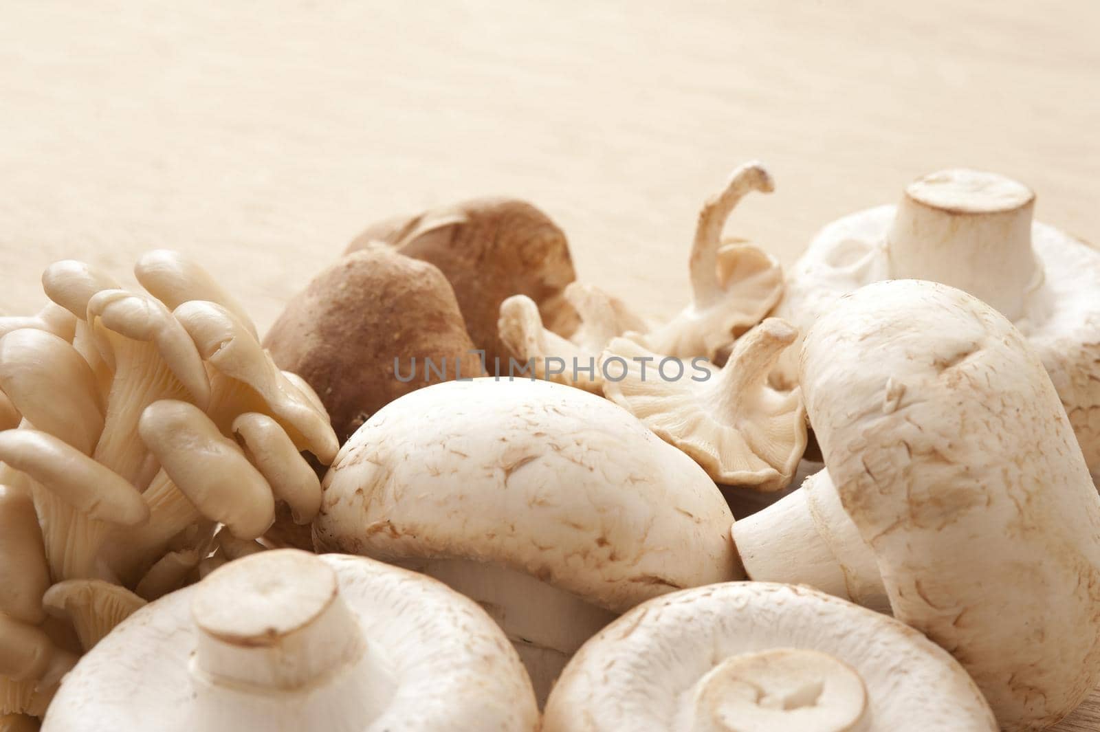 Selection of fresh edible mushrooms consisting of button mushrooms, or agaricus bisporus, with Japanese shimeji and shitake mushrooms over a neutral background