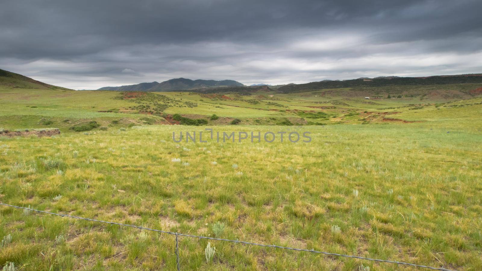 Foothill landscape in Fort Colling, Colorado.