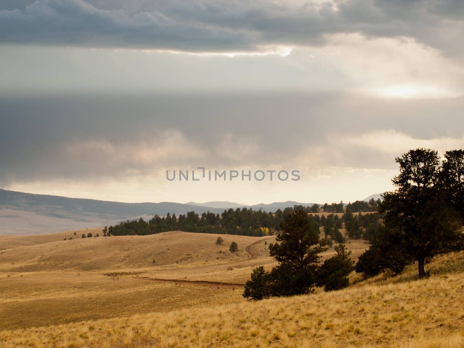 Rolling landscape by arinahabich