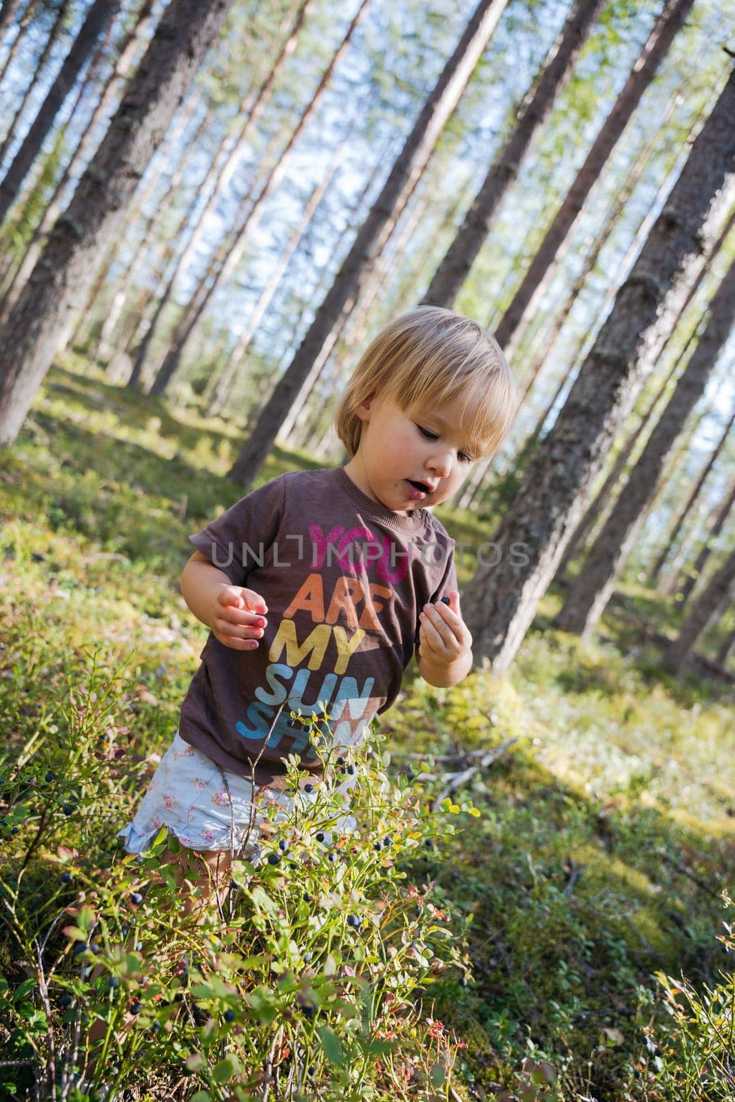 Blond Baby girl collecting berries in the forest by Varaksina