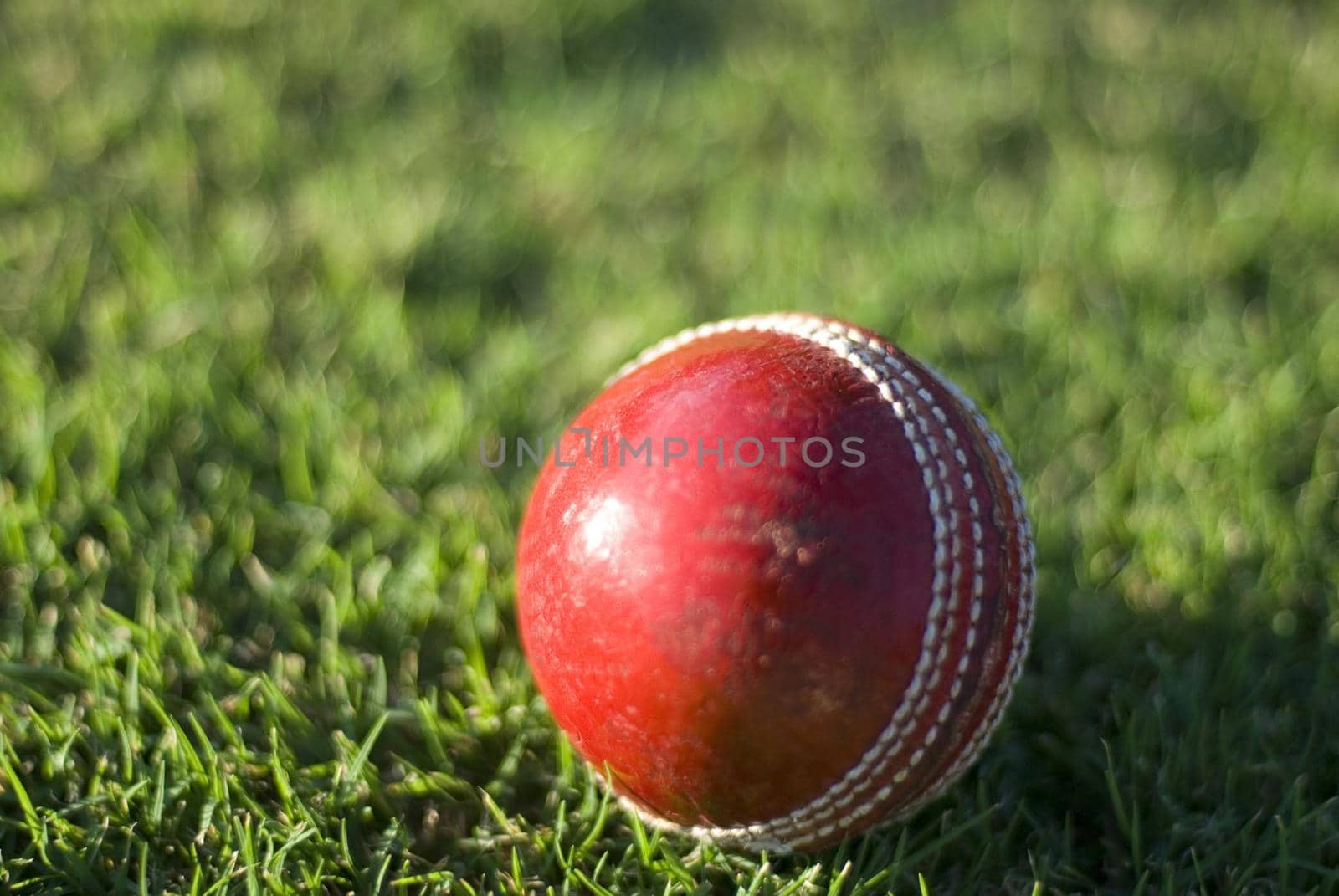 a red leather traditional cricket ball