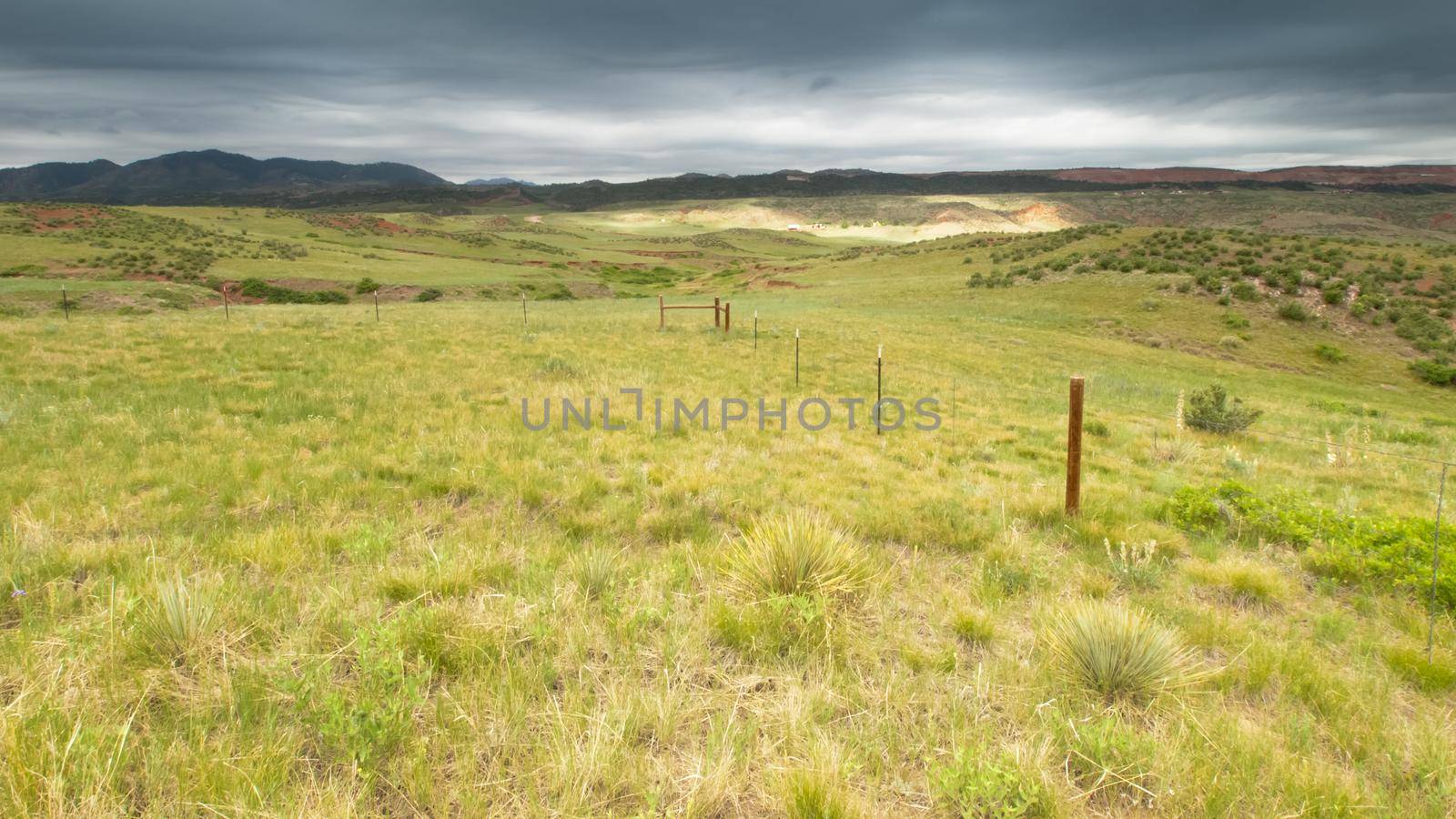 Foothill landscape in Fort Colling, Colorado.