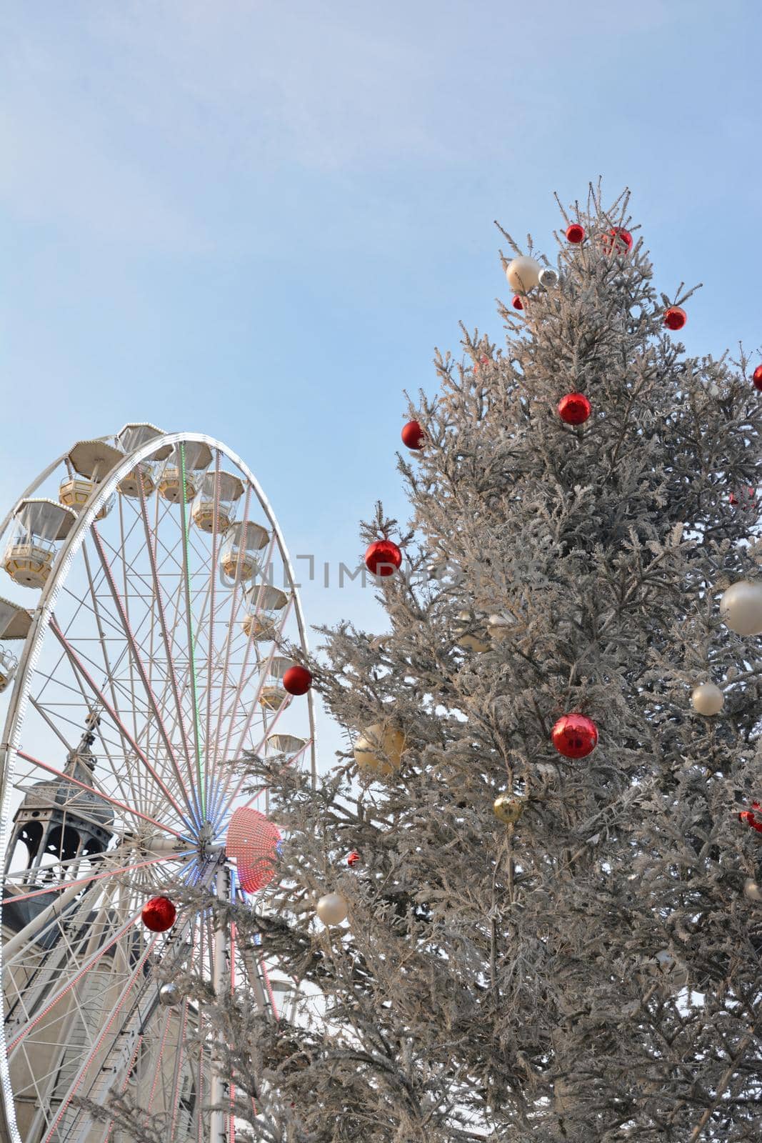 Ferris wheel with fir-tree in France.