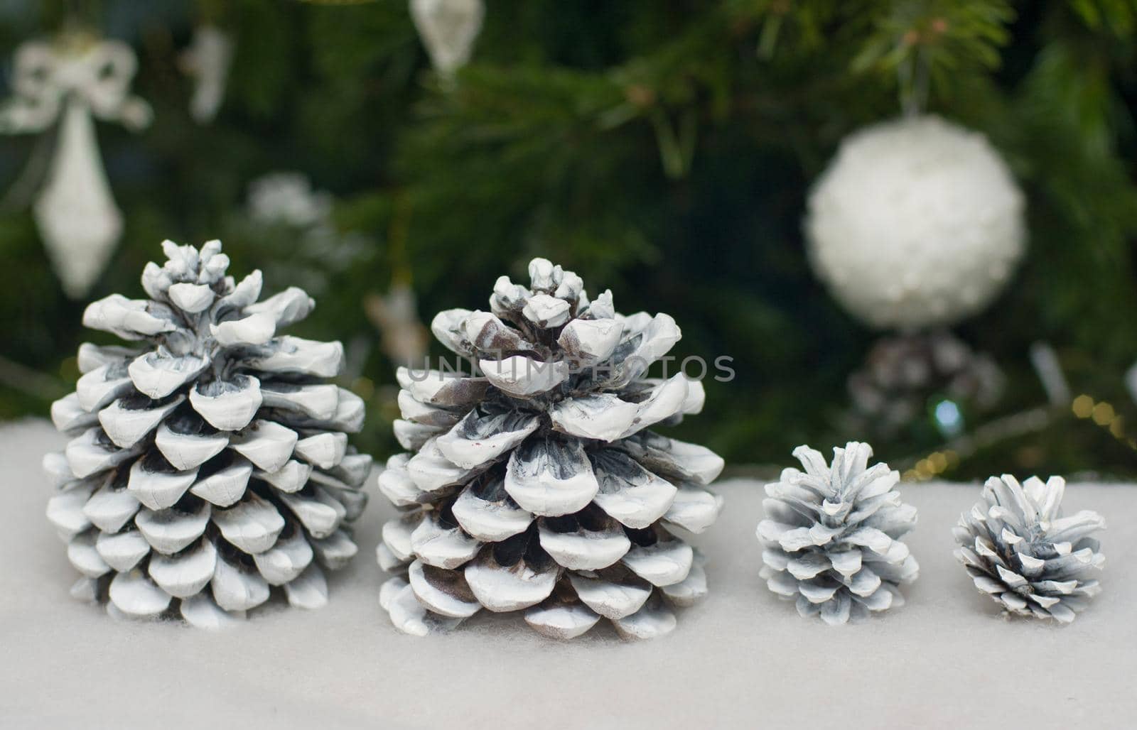 Cones in the snow on the background of a Christmas tree